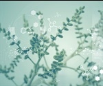 Developing Biochemically Sensitive Membranes with Electrochemistry