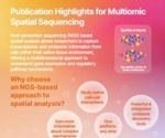 Infographic - publication highlights for spatial analysis
