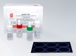 RaPET® immunoassay kits for rapid serology testing