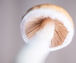 Pittcon addresses synthetic psychedelics crisis; Boston 2025 to advance collaboration